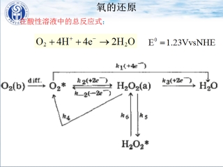 氧还原反应研究进展